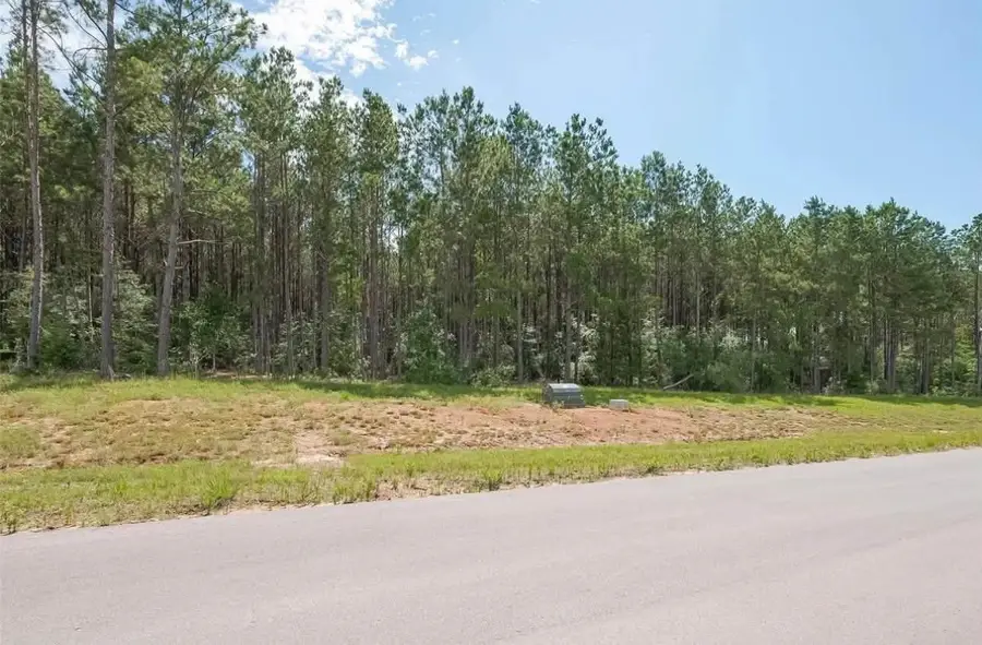 10721 Ruger Road, Willis, TX 77378 - #2