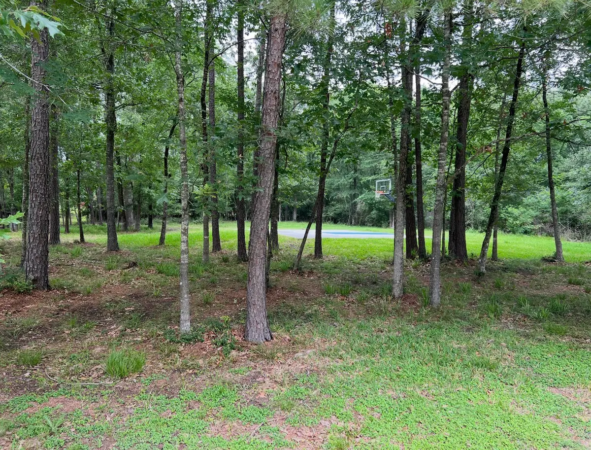 11455 Lake Oak Drive, Montgomery, TX 77356 - #1