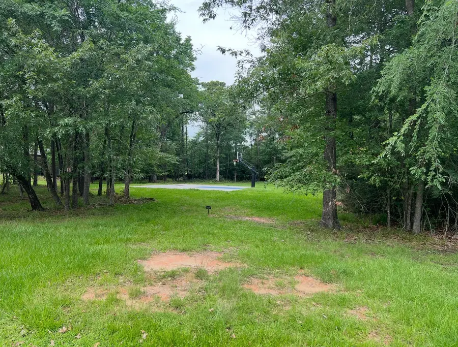 11455 Lake Oak Drive, Montgomery, TX 77356 - #2