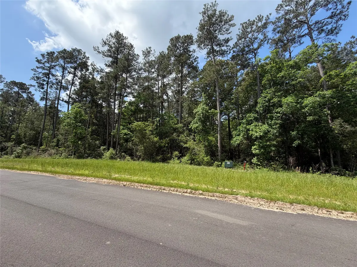 15744 Ridge Oak Road, Willis, TX 77378 - #1