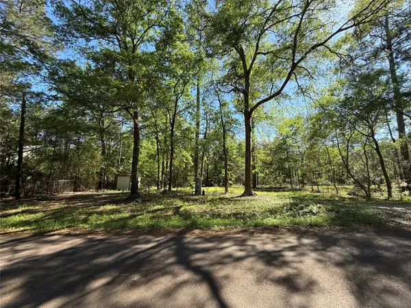 13959 County Road 201 Loop, Plantersville, TX 77363