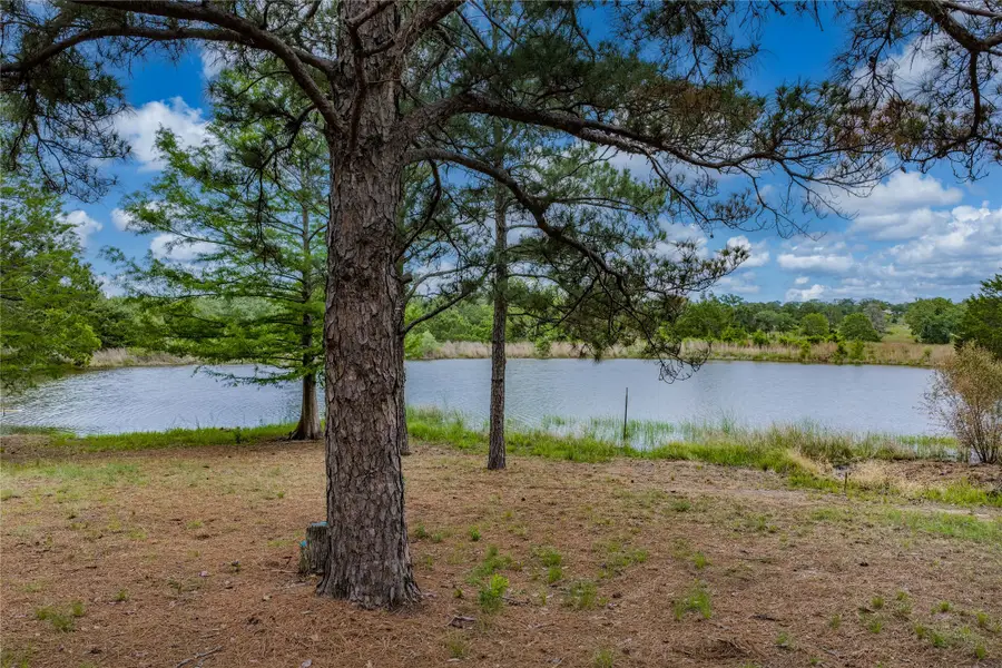 1555 Wildwood Road, Ledbetter, TX 78946 - #3