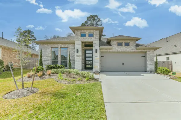 1320 Rio Hollow Lane, Magnolia, TX 77354