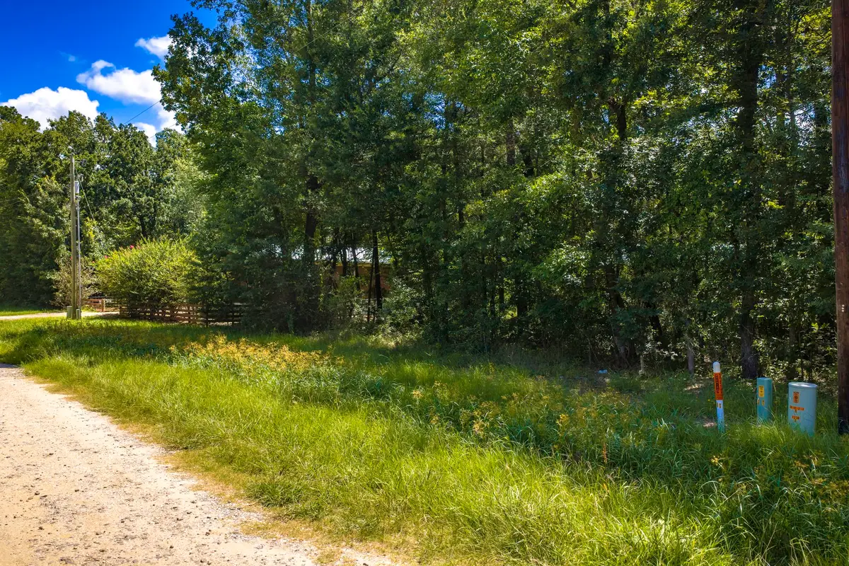 TBD Lots 21 & 22 Terlingua, Livingston, TX 77351 - #1