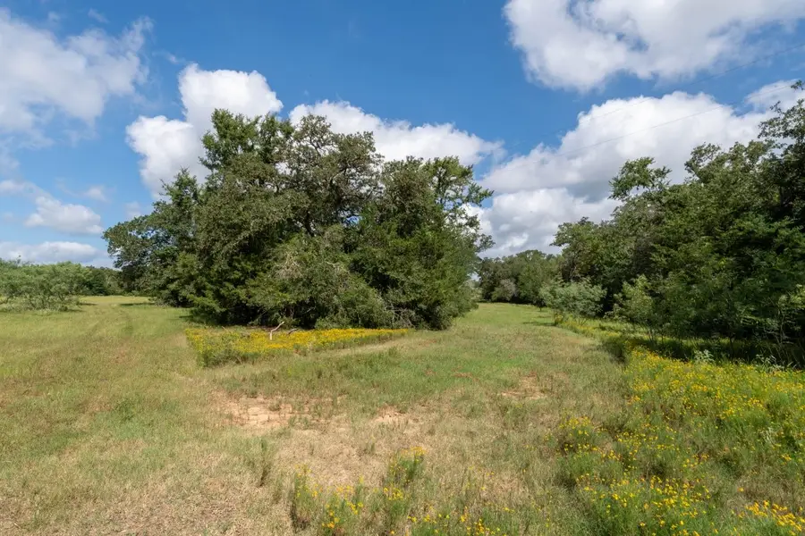 0 County Road 328, Caldwell, TX 77836 - #2