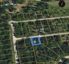 31041 Doe Run Ct, Whitney, TX 76692 - #2