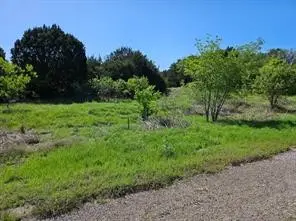 31041 Doe Run Ct, Whitney, TX 76692 - #3