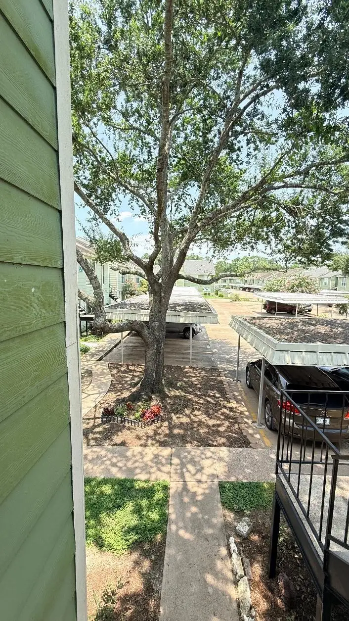 14777 Wunderlich Drive #508, Houston, TX 77069 - #3