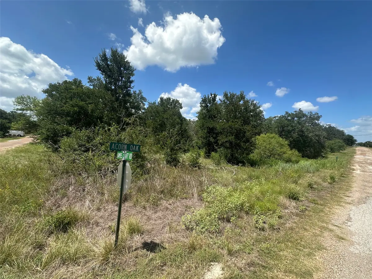 TBD Acorn Oak Street, Somerville, TX 77879 - #1