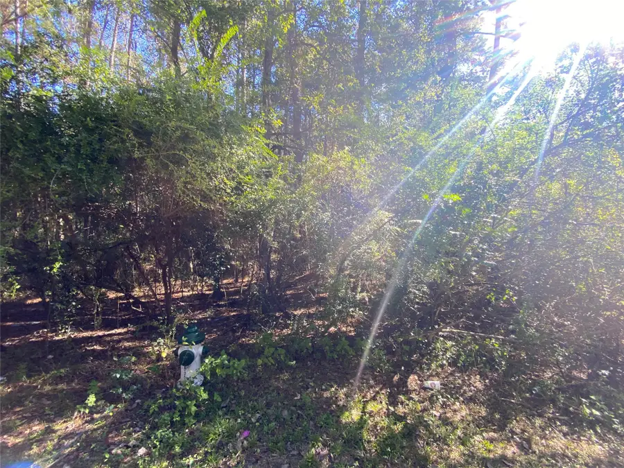 2225 Easley Circle, Huntsville, TX 77320 - #3