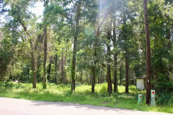 410 Dogwood Trail, Conroe, TX 77316