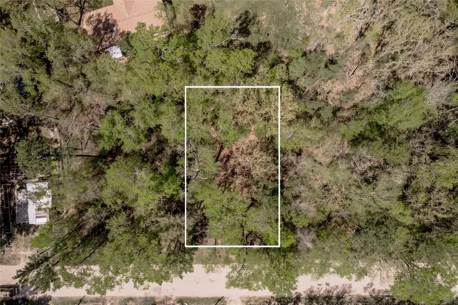 TBD Meridian, Livingston, TX 77351 - #2