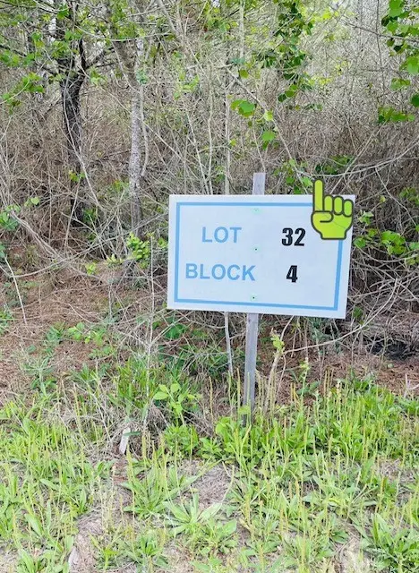 15762 Grey Hawk Lane, Willis, TX 77378 - #3