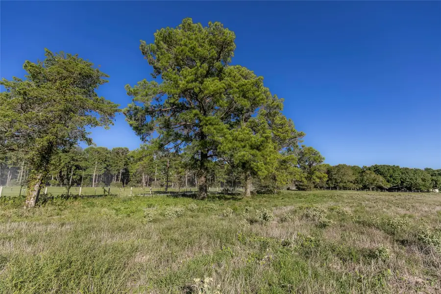 Tract 2 Nelius Road, Bellville, TX 77418 - Image #2