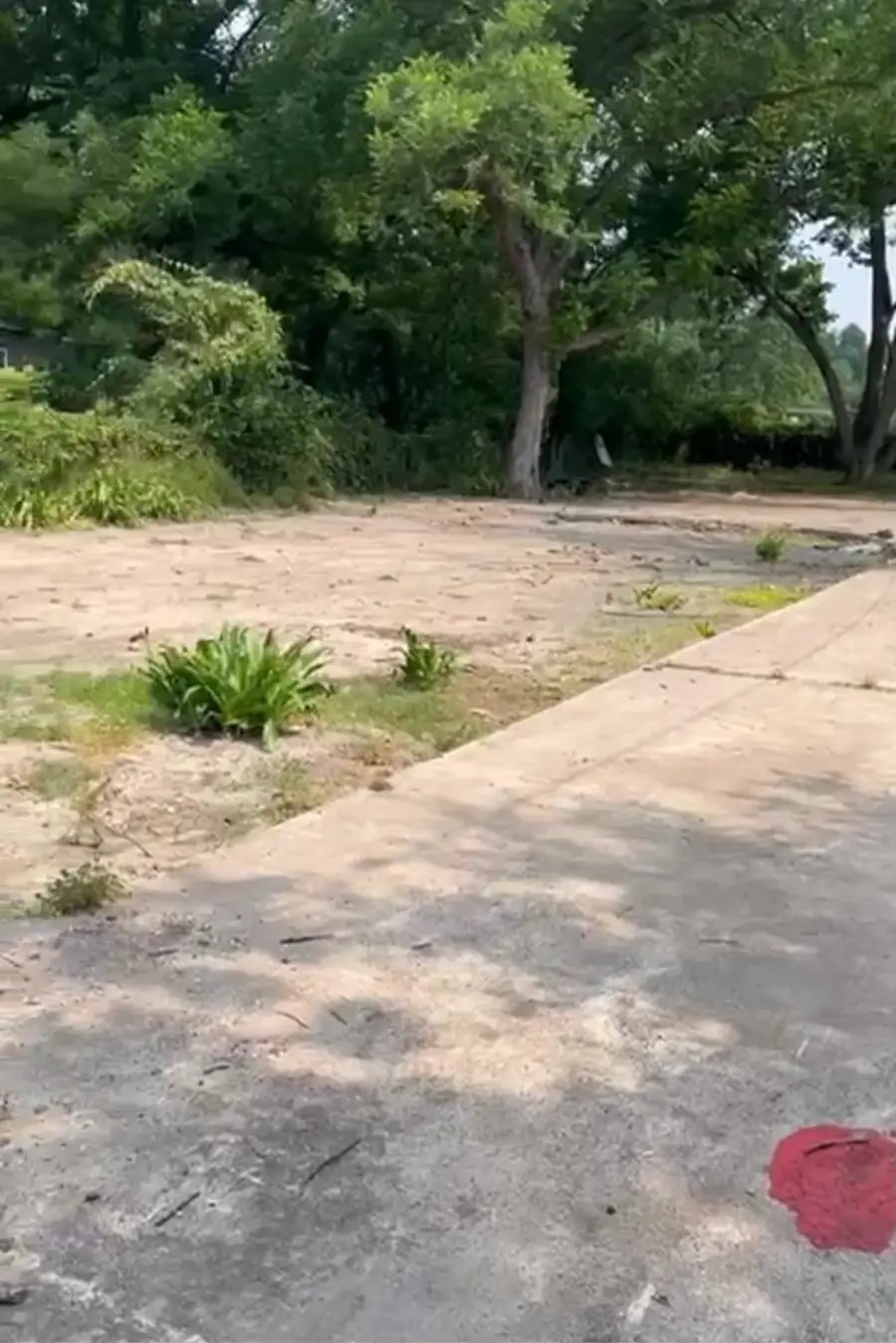 750 Pickering Street, Houston, TX 77091 - #2