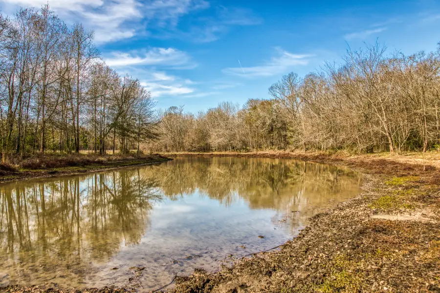 5280 Whitaker Way, Anderson, TX 77830 - #3