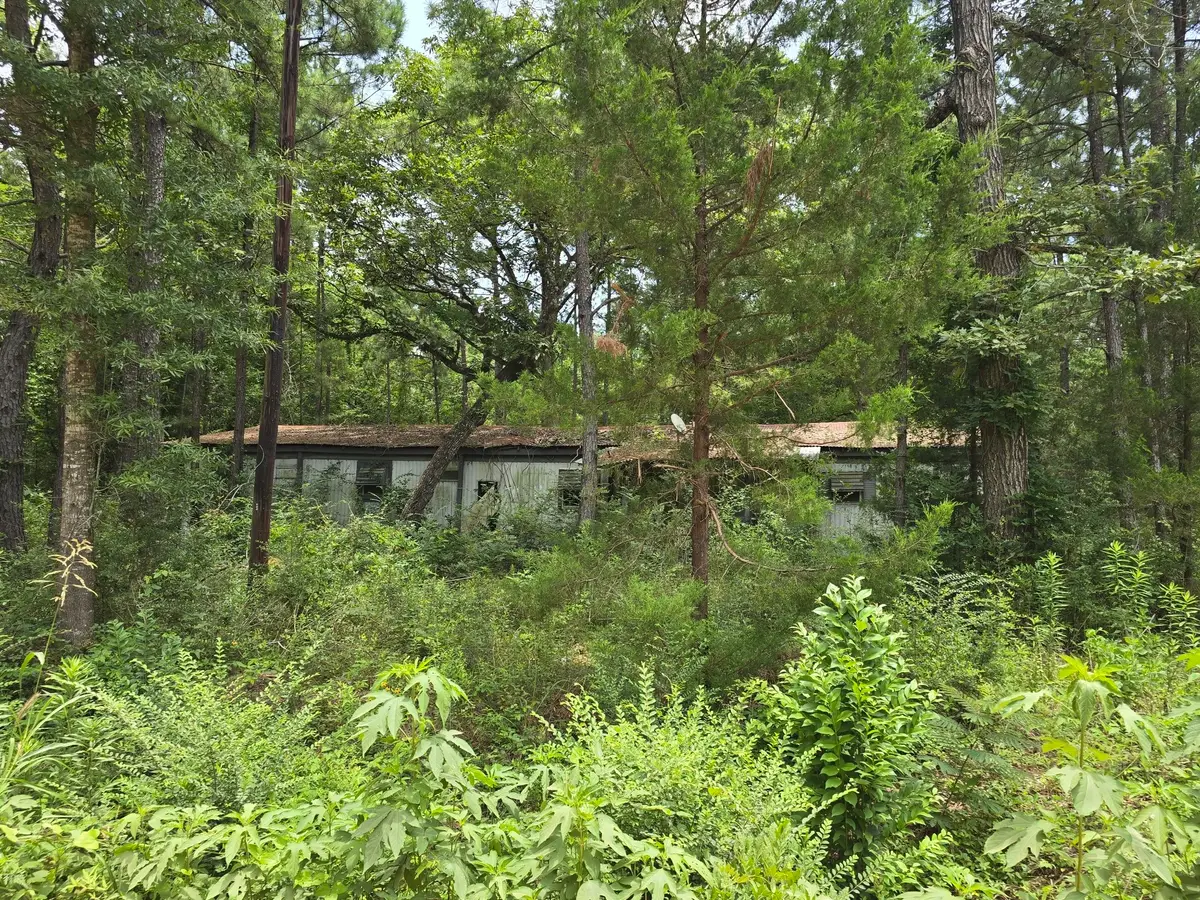 261 Patricia Drive, Livingston, TX 77351 - #1
