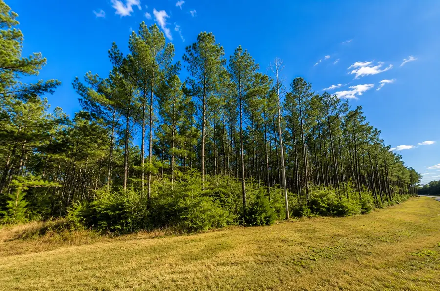 10805 Ruger Road, Willis, TX 77378 - #3