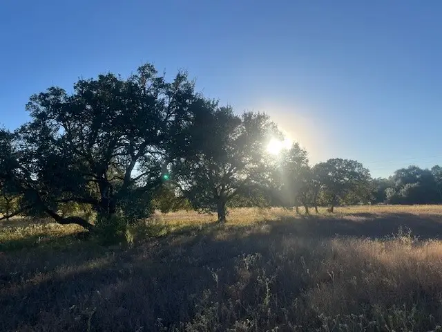 1311-B Alleyton Road, Columbus, TX 78934 - Image #3