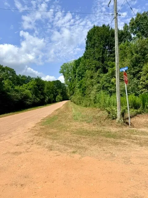 00 Farm Pasture Road, Shepherd, TX 77371 - #3
