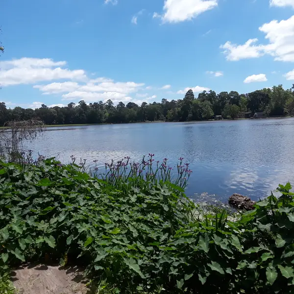 512 Navajo Street, Conroe, TX 77316