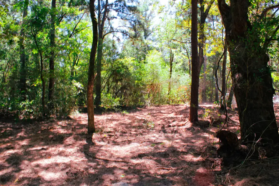 66 AC Tanyard Church Lane, Midway, TX 75852 - #2