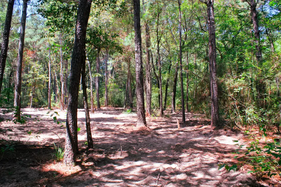 66 AC Tanyard Church Lane, Midway, TX 75852 - #3
