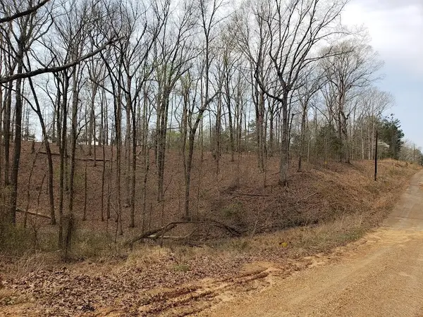 1172 Edgewood Drive, Other, TN 38067