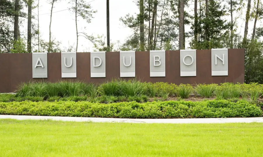 39219 Water Rail Court, Magnolia, TX 77354 - #3