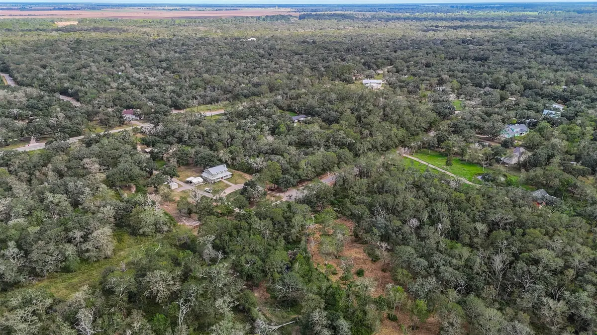0 Live Oak St, Damon, TX 77430 - #1