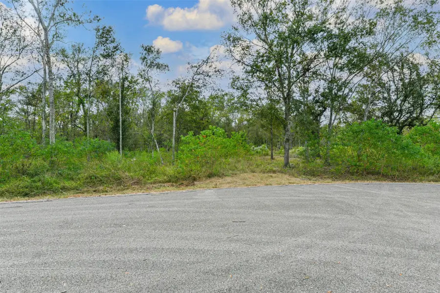 0 Live Oak St, Damon, TX 77430 - #3