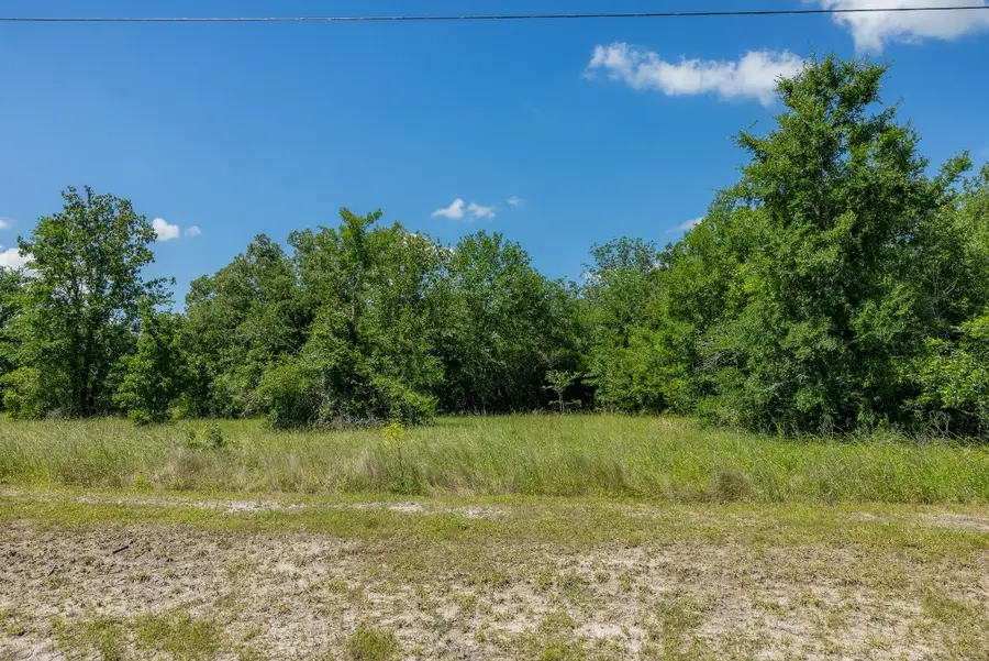 10677 Brushwood Cutoff, Bedias, TX 77831 - #3