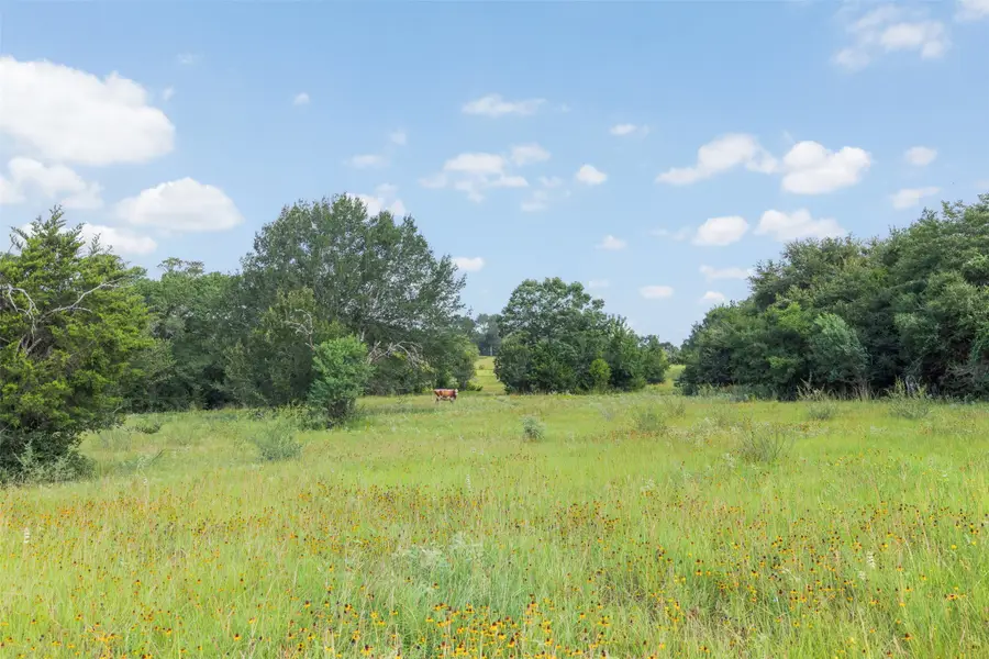 10709 Highway 105, Brenham, TX 77833 - #2