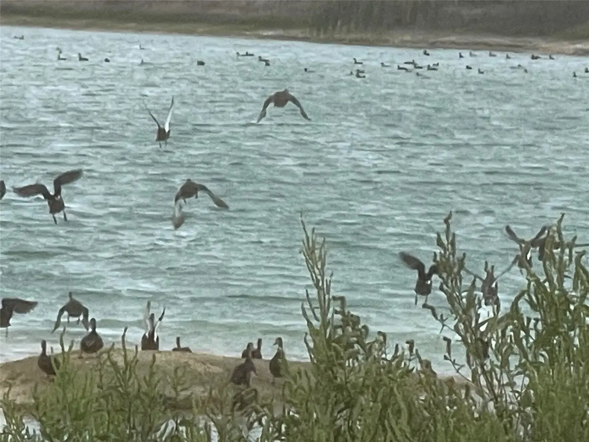 00 Hwy 73, Winnie, TX 77665 - Image #1