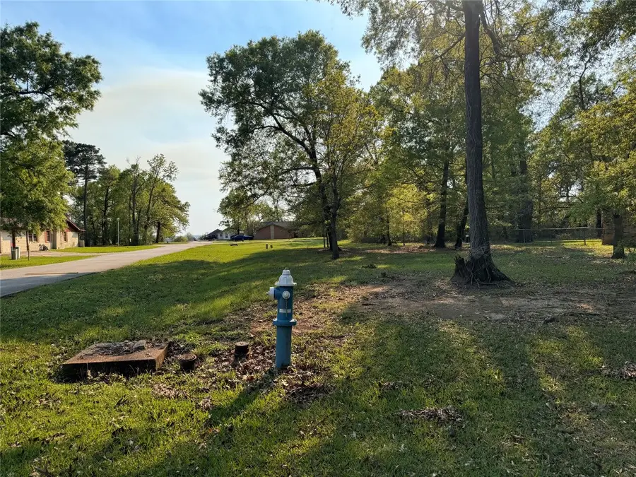 TBD Bending Oaks Lane, Livingston, TX 77351 - #2