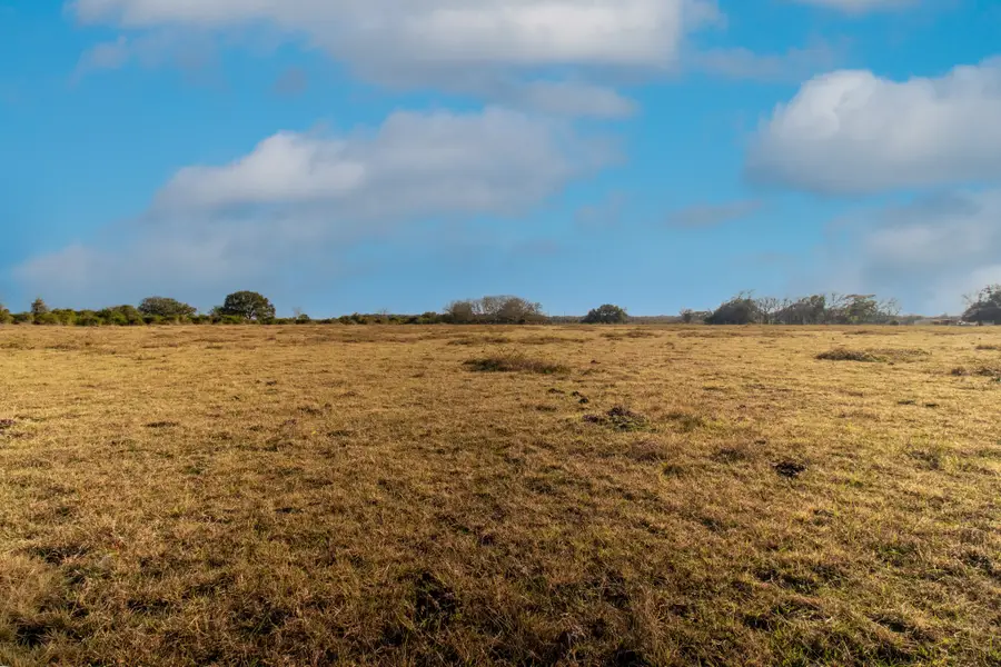 TBD County Road 443/446, Ganado, TX 77962 - Image #3