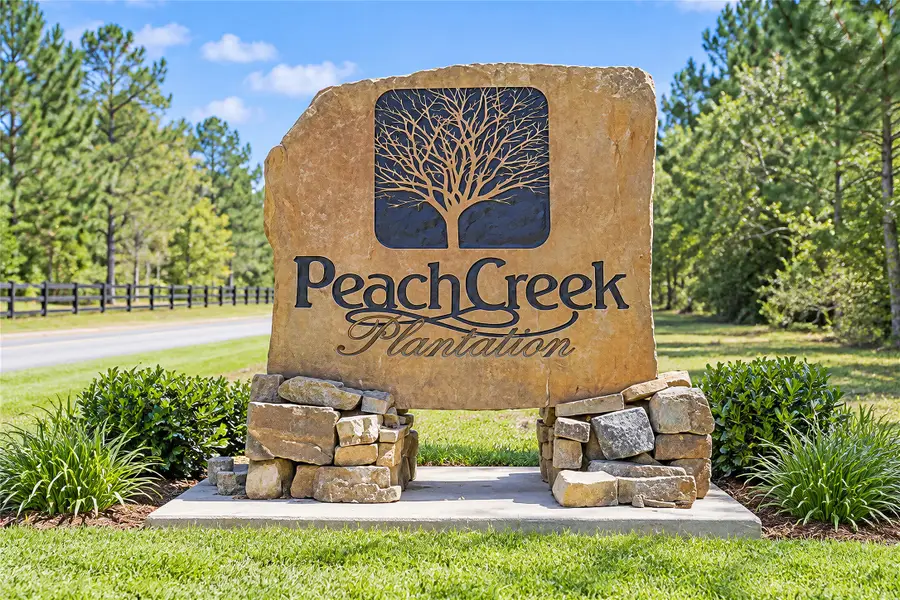 21346 Big Buck Drive, Cleveland, TX 77328 - #2
