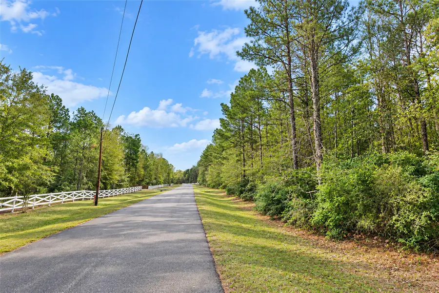 21346 Big Buck Drive, Cleveland, TX 77328 - #3