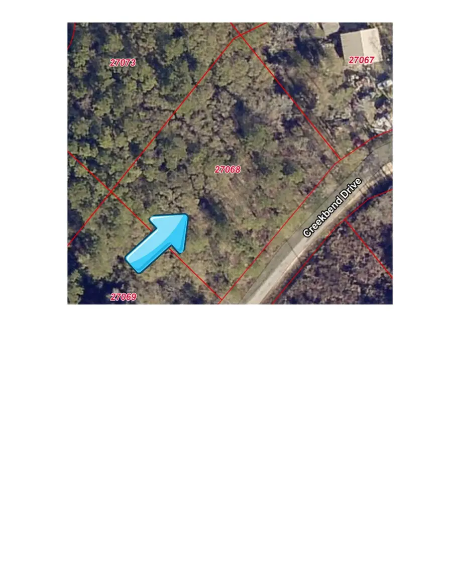 15985 Creekbend Drive, Plantersville, TX 77363 - #3