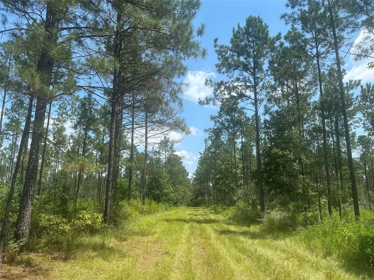 TBD Fm 1005, Jasper, TX 75951 - #1