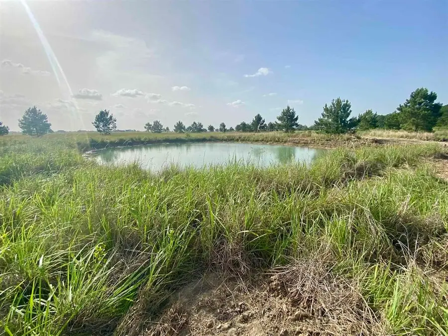 27480 Hwy 365 Road, Beaumont, TX 77705 - #2