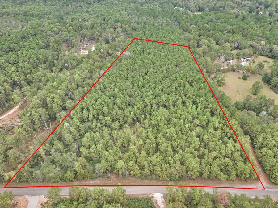 0000 E Williams Road, Conroe, TX 77303 - Image #3