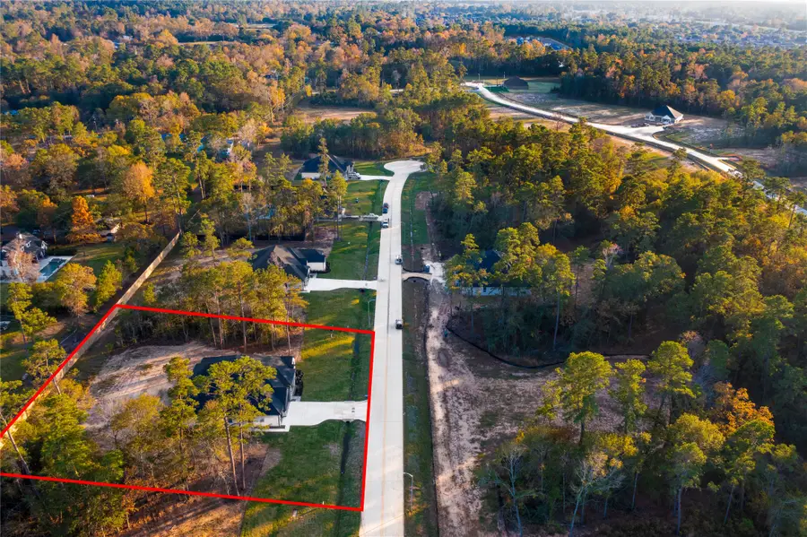 322 Louvenia Court, Pinehurst, TX 77362 - Image #3