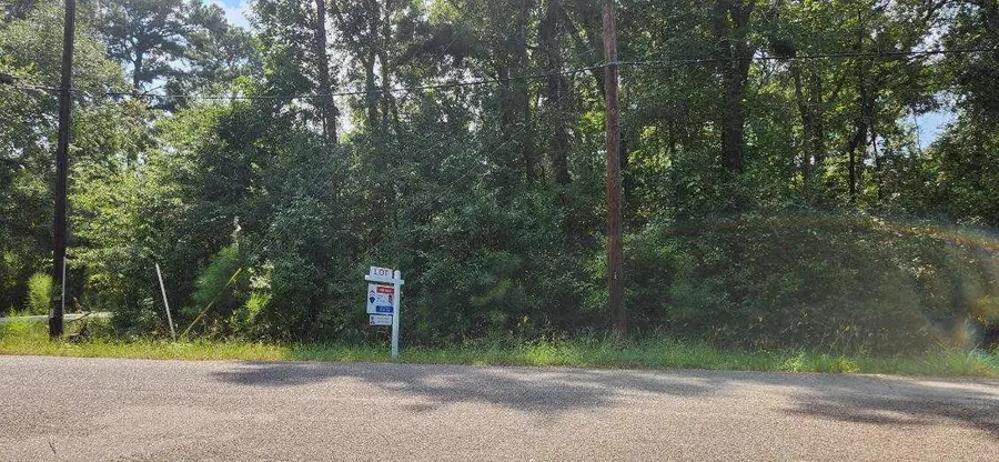 0 Daniel Street, Magnolia, TX 77354 - #2