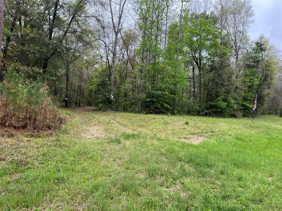 TBD Farm Road 943, Livingston, TX 77351 - Image #3