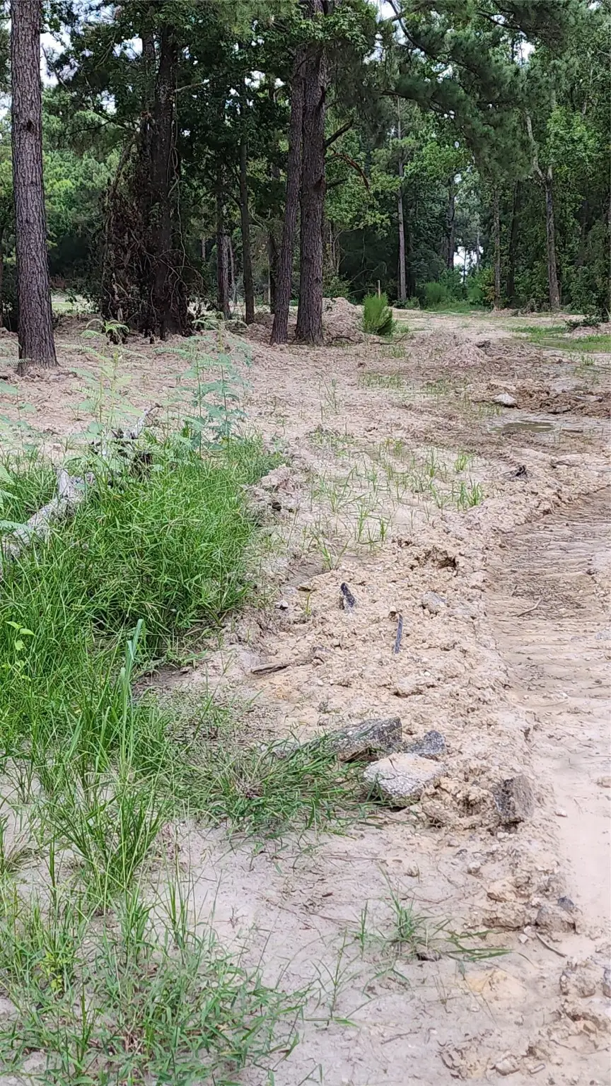 TBD /0 W Hardy Road, Houston, TX 77073 - Image #3