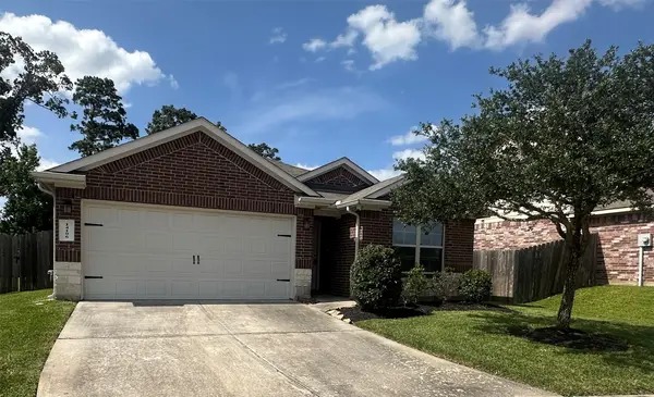 14106 Locke Point Court, Conroe, TX 77384