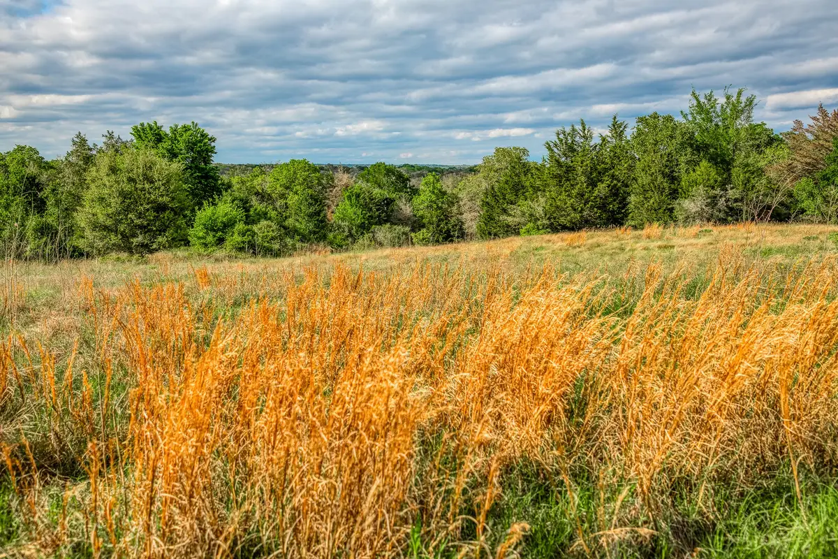 TBD (56.135 Acres) County Road 125, Ledbetter, TX 78946 - Image #1