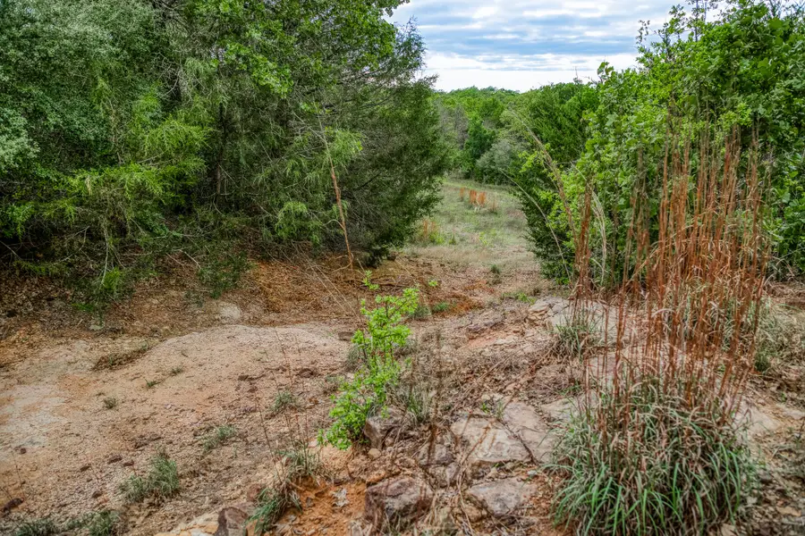 TBD (56.135 Acres) County Road 125, Ledbetter, TX 78946 - Image #3