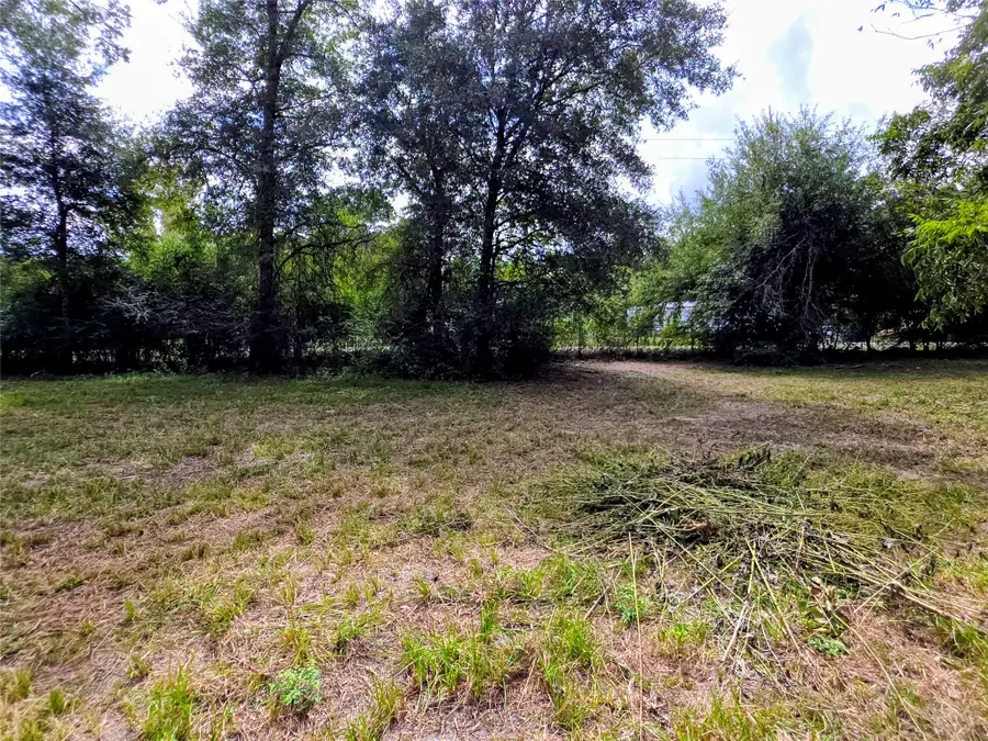 0 3rd St Street, Batson, TX 77519 - #3